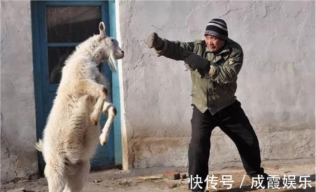 |夫妻搞笑段子:我们有钱人,无非是为了寻个乐子!