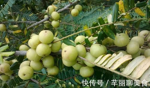 补益|冬天来了,不妨多吃3种食物,促进消化,排毒抗衰,补益气血!