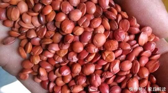 生理性|夜晚失眠睡不着，记住4味小药，家家户户有，简单又有效