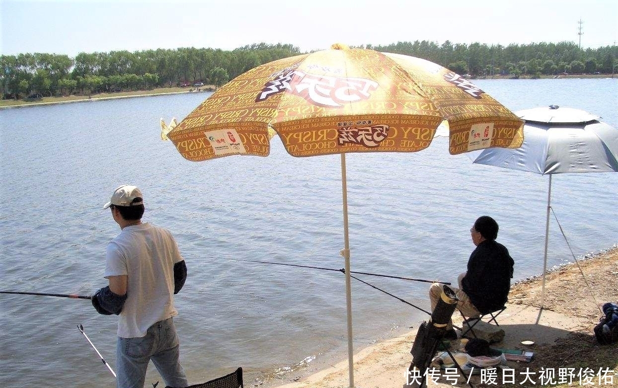 饵料|懂得调漂不一定就能钓到鱼,有些细节被忽略,你永远都不知道