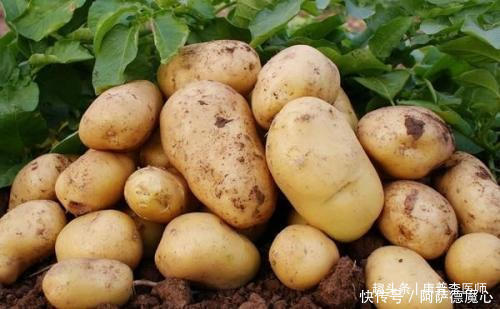 冬季养生要会吃,推荐几种好食物,延缓衰老,排毒消脂,越吃越好