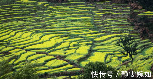 山村咏怀|宋朝一位不知名的诗人，写了一首有趣的诗，通篇包含一到十的数字