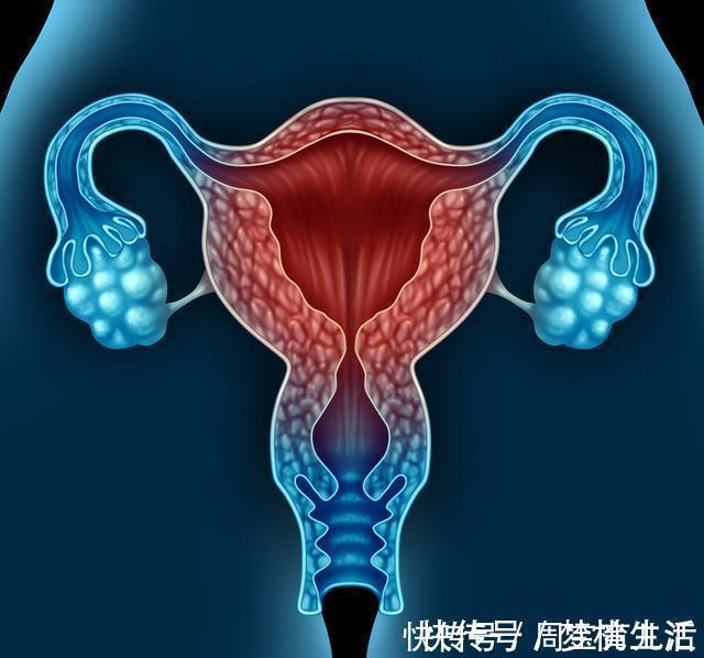 子宫内膜|孕酮低会导致早孕流产这6个诱因需警惕,早发现早治疗