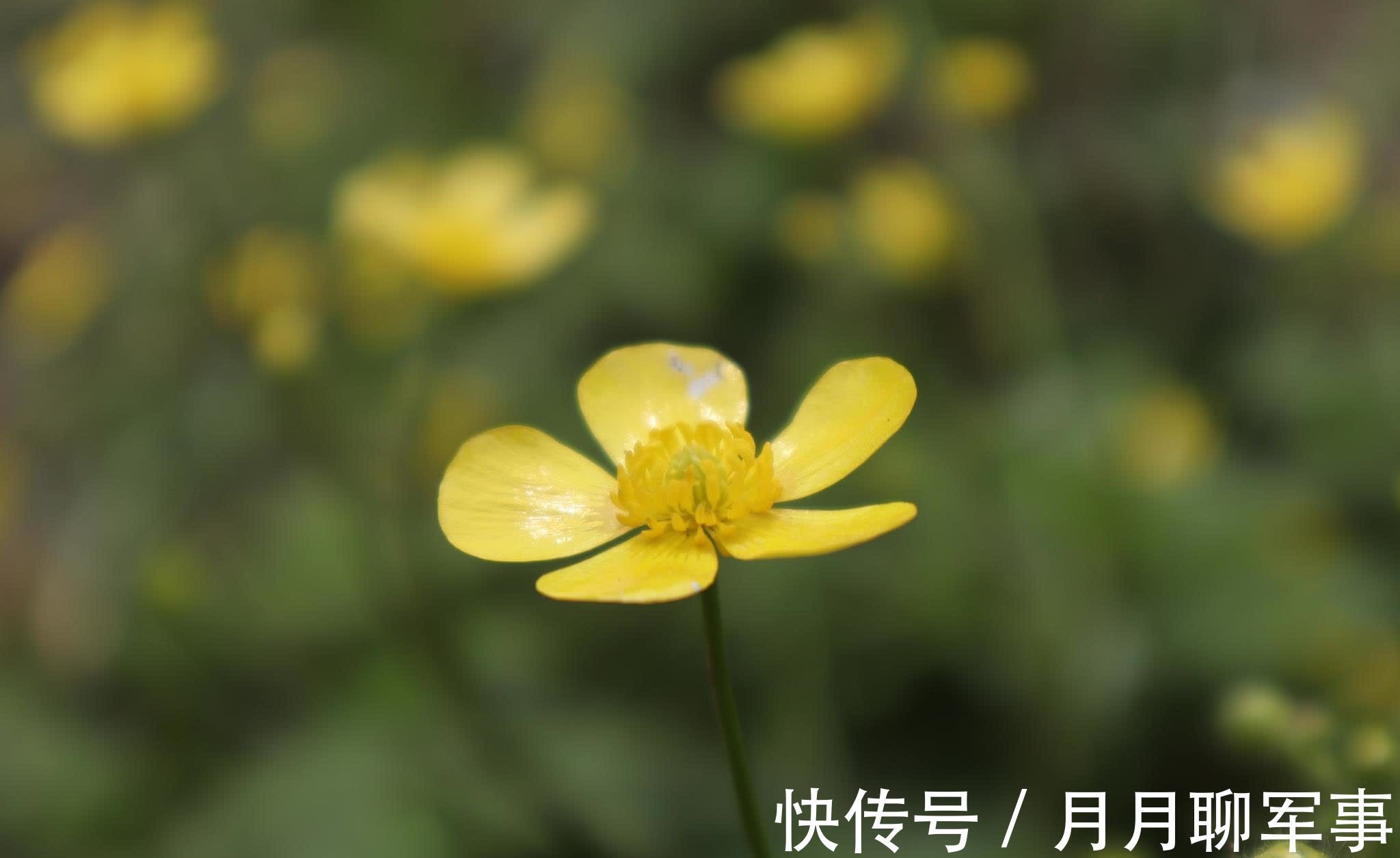 了凡四训#《道德经》：以规律推知祸福，才是生存的智慧根本