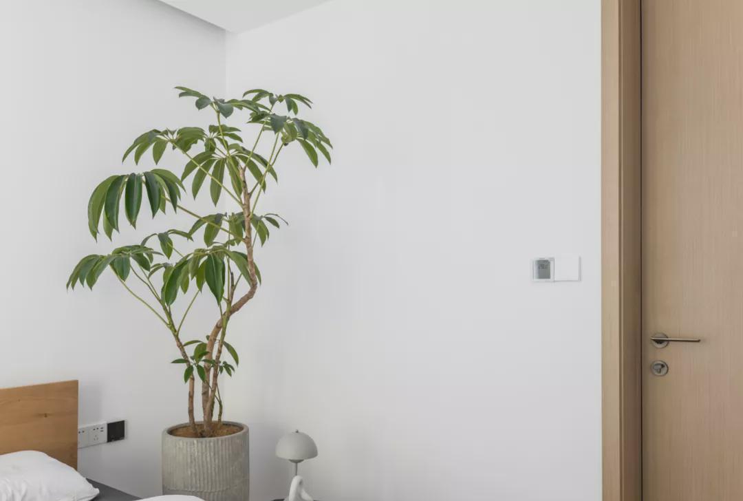 餐厅|看了她100㎡新家,我被彻底治愈了,全屋舒缓干净,氛围超好