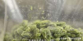 快没了|根本停不下来!金山这个有着百年历史的季节限定美食,再不吃就快没了……