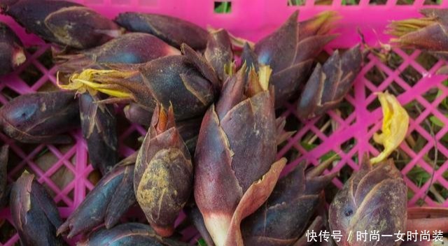 下饭|立秋后这种菜大量上市,用它来炒五花肉,很是开胃下饭,不妨一试