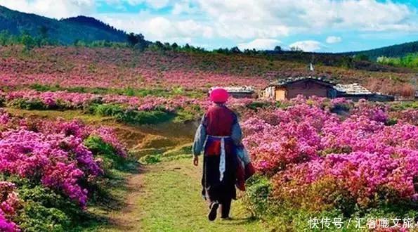 草原|这3个旅行地，今年夏天一定要去自驾一次！