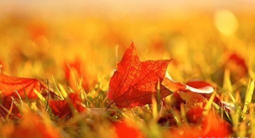 丰隆穴|秋末排痰黄金期!借这2招化掉身体里的陈年老痰,一身清爽迎冬季