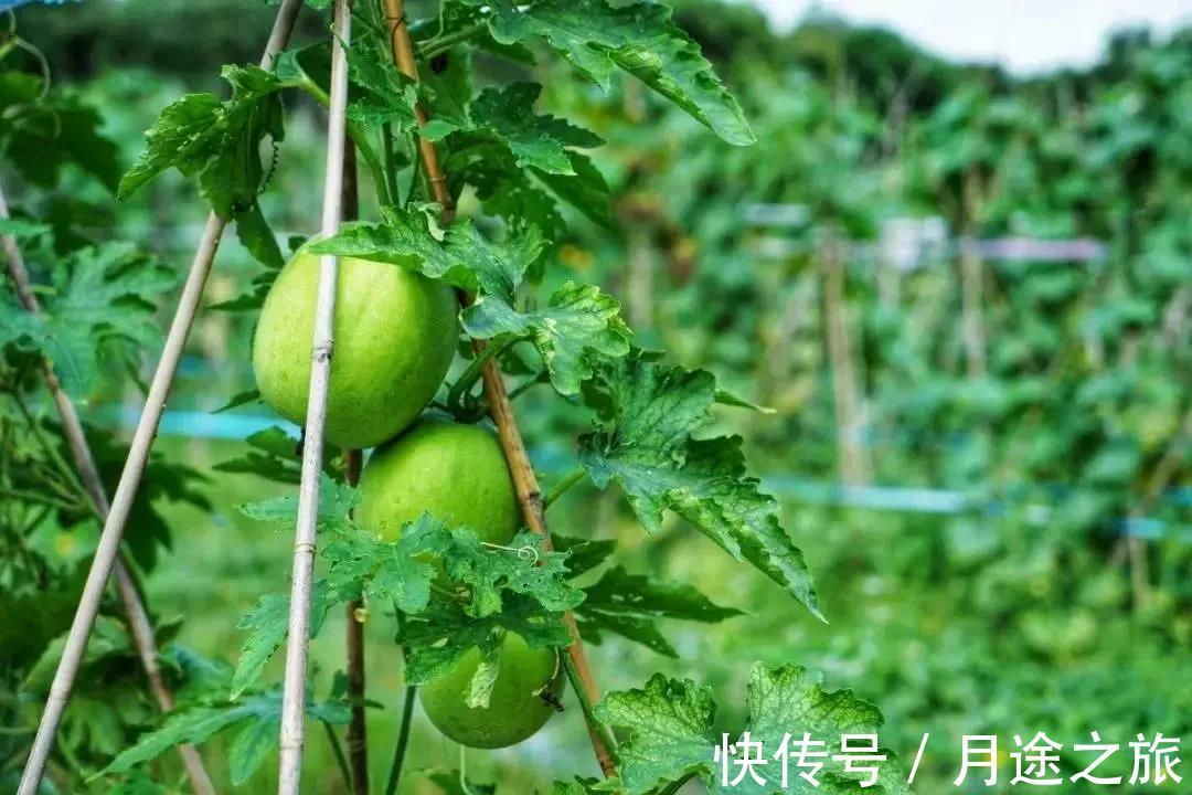 温泉|秋日暖心泡汤之旅，享从化养生珍馐，流溪河畔感受隐逸雅致慢生活