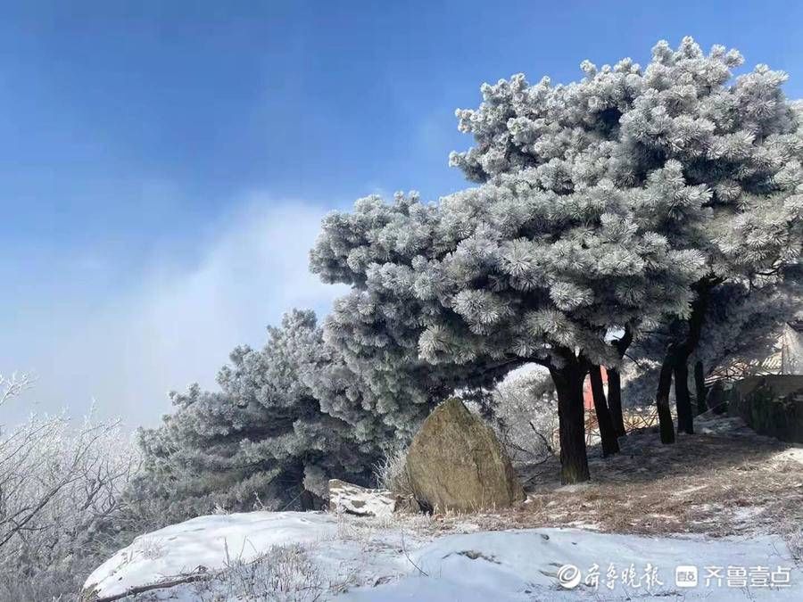 岱顶|壹图集丨腊八泰山迎瑞雪，岱顶秒变“琼楼玉宇”