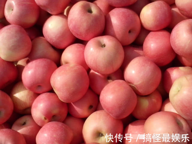 维生素若是怀孕了,4种“零食”孕妈每天吃,或能生个高颜值宝宝!