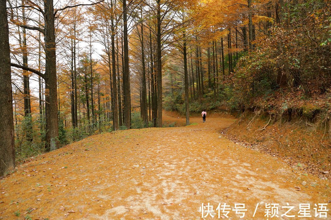 茅镬古村|宁波最佳赏秋环线游线路，所有赏秋线路中的no.1