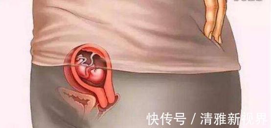 发育|宝宝是怎么被慢慢孕育出来的,十张过程图,一切来之不易