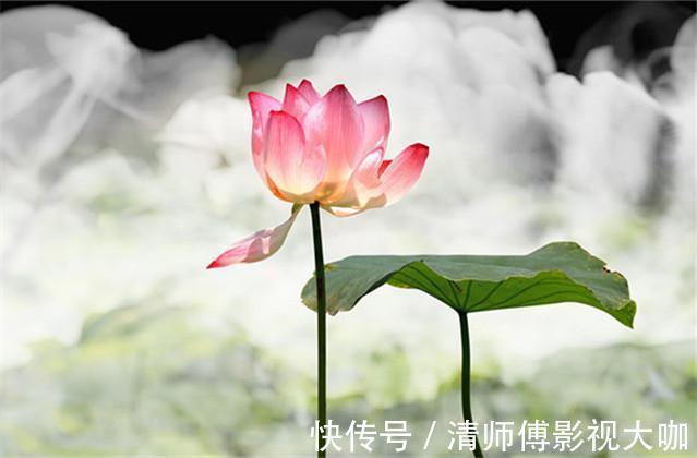 韩子#《韩非子》10句千古名言，寓意深刻，值得你一读再读！