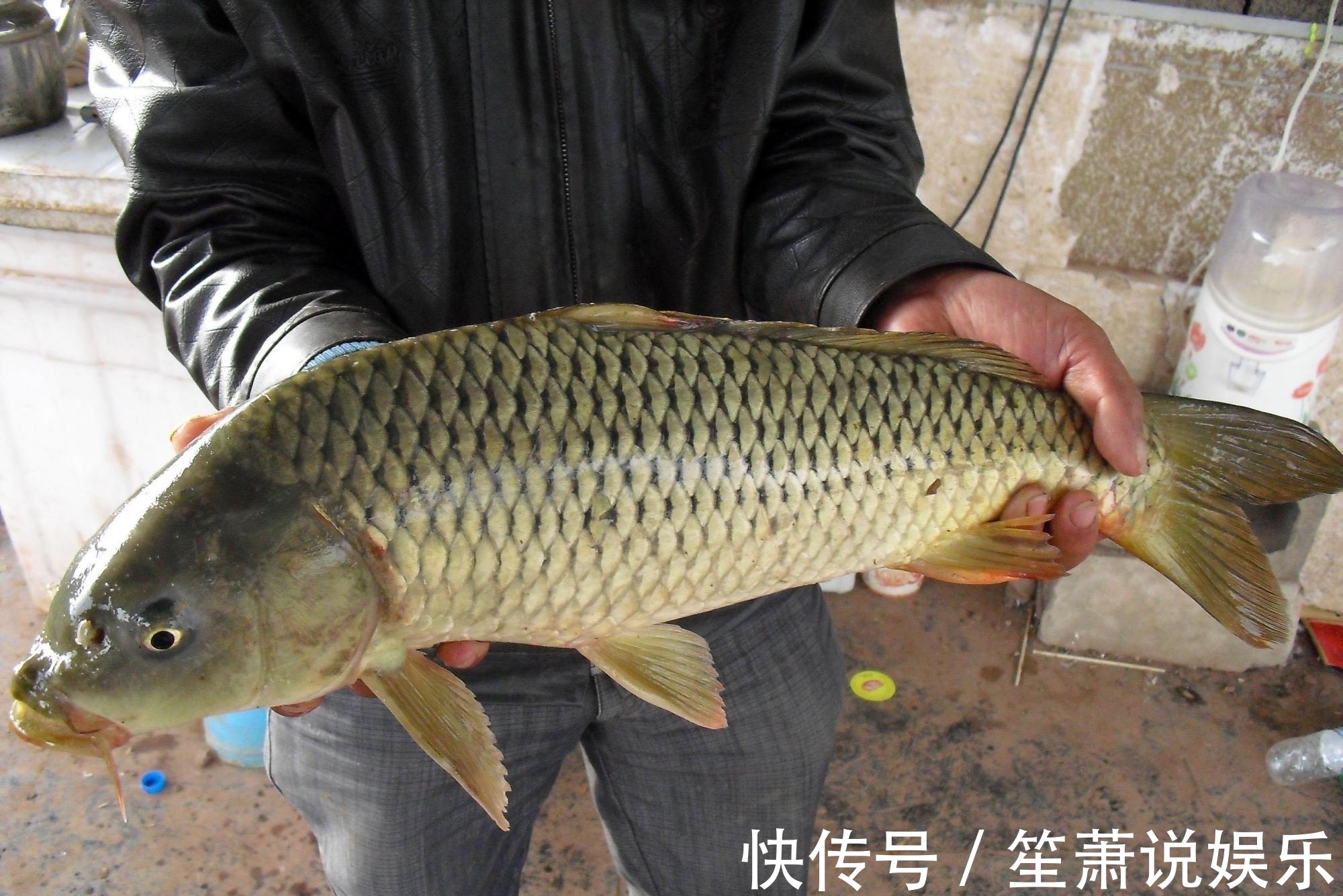 鲫鱼|冬钓选钓位,就选这四个位置,天气越冷越聚鱼