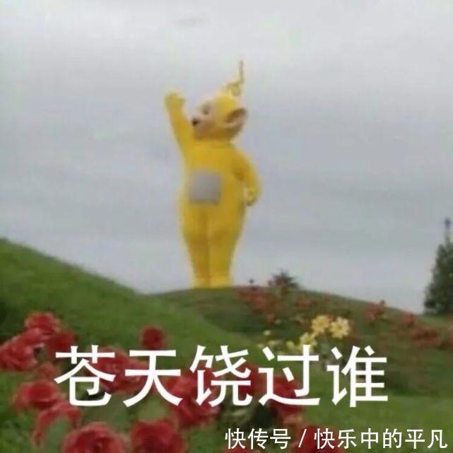 宝宝|天线宝宝表情包汇总 去年的目标实现了吗?