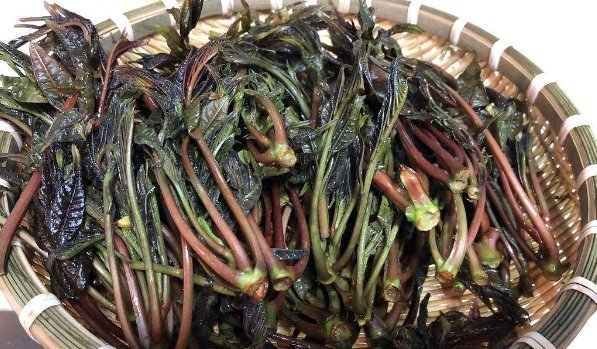 味道|不能不加热的四道菜,很多人不理解,吃的话对健康有害