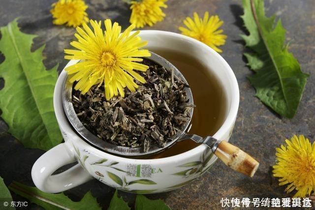 胃經(jīng)|蒲公英泡水當(dāng)茶喝對身體有什么好處?看看醫(yī)生怎么說