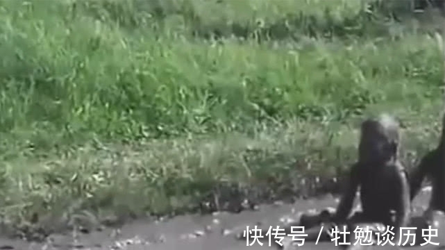 妈妈|妈妈回家路上看到小宝宝，完全没认出来，接下来的事有趣