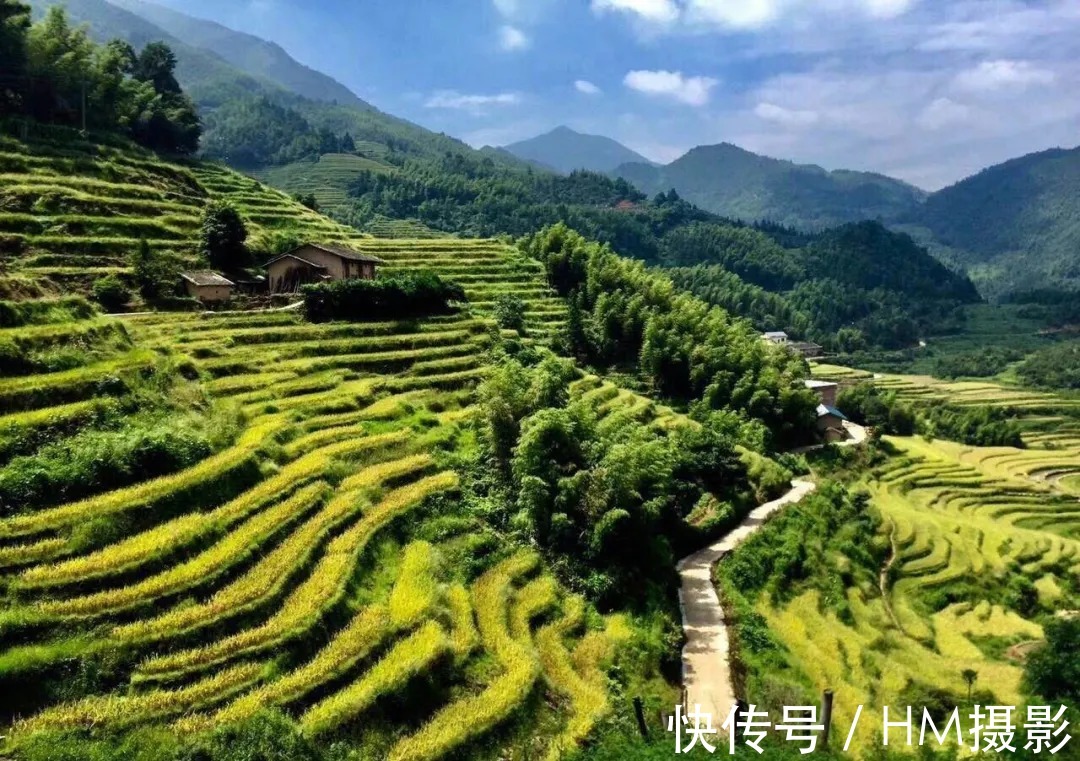 遂川|世界十大最美梯田之一，四季皆景——遂川桃源梯田