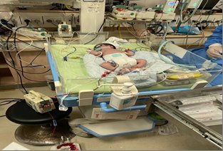 熊猫血|“熊猫血”妈妈生育二胎有顾虑?市六医院为“熊猫血”妈妈妊娠全周期保驾护航