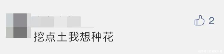 嫦娥 刚回家就被全身贴满“暖宝宝”!今早网友被这张图萌化了