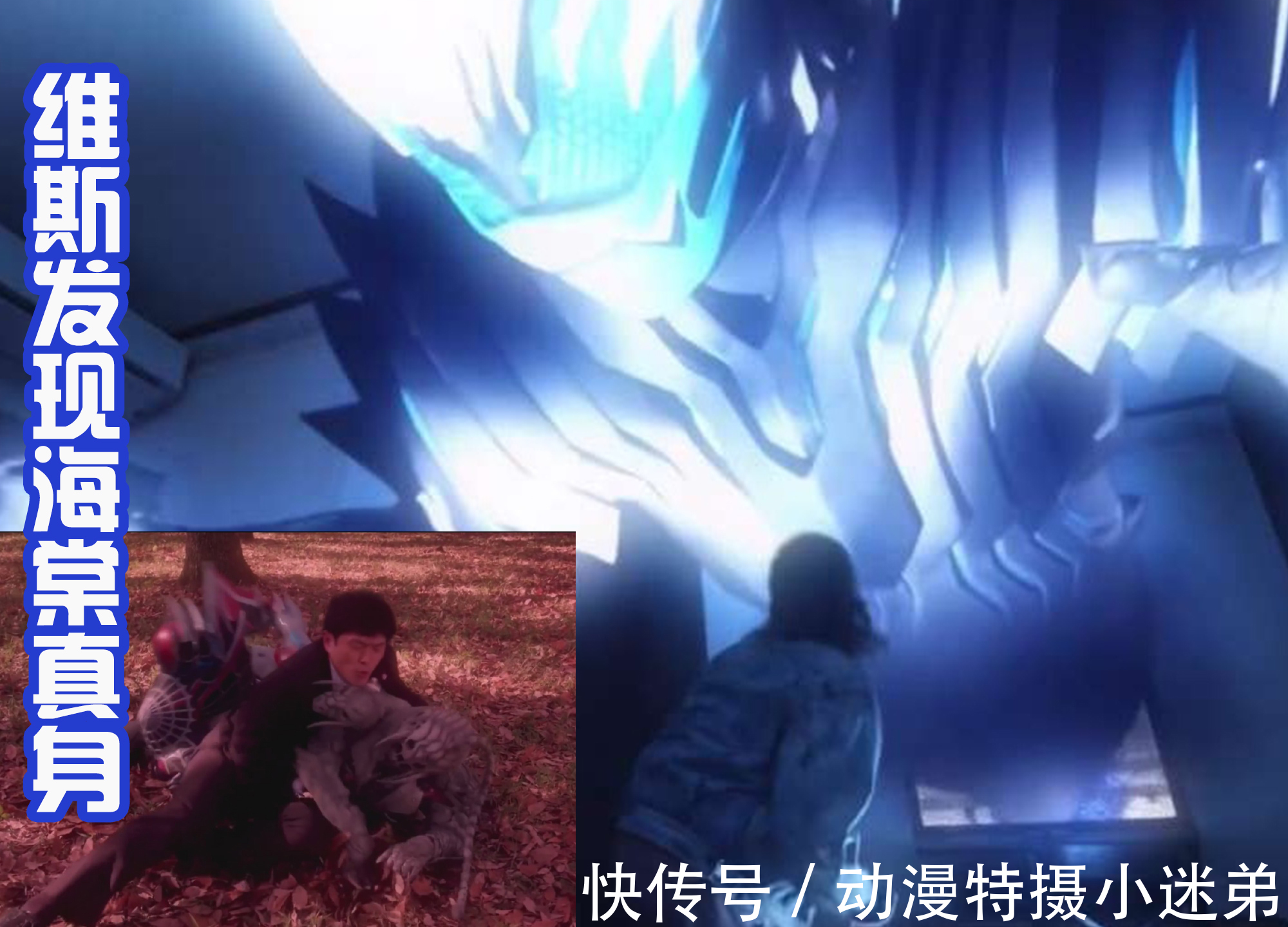 假面骑士revice|假面骑士Revice外传,海棠真身被发现,不想战斗只想逃跑!