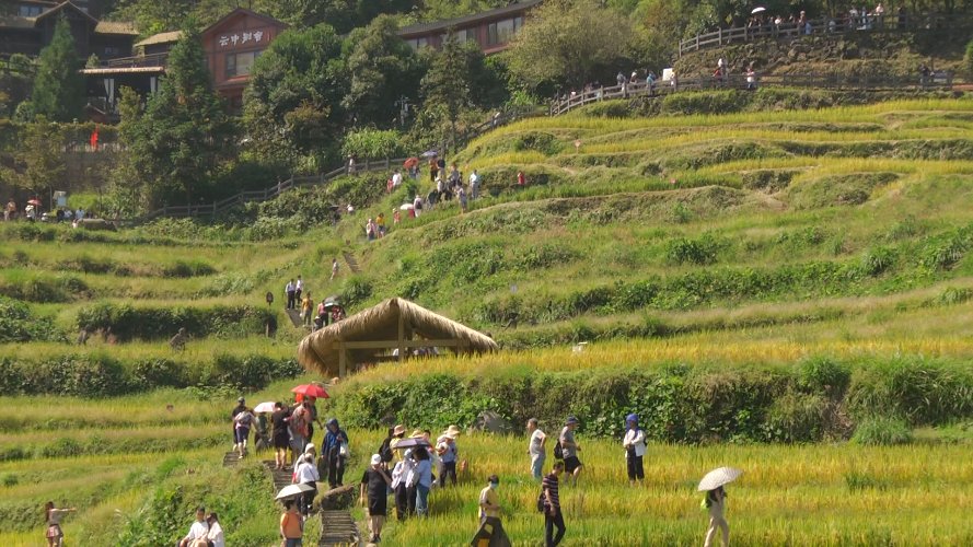 全域旅游|全省首批！云和实现全域旅游“百千万”工程全覆盖