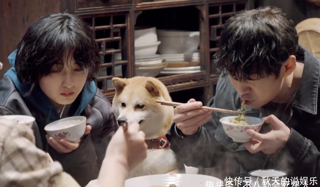 秘密访客 张子枫在《向往》第五季仍然没长进,她上综艺赚钱太容易了