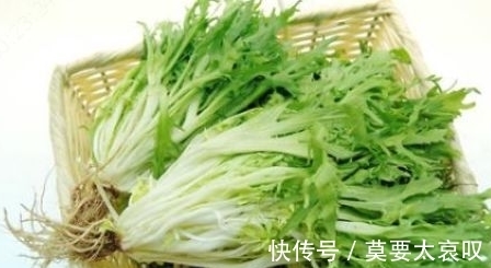 苦菜|农村一种常见野菜，每天能吃一次，身体健康不用愁，能防治癌症