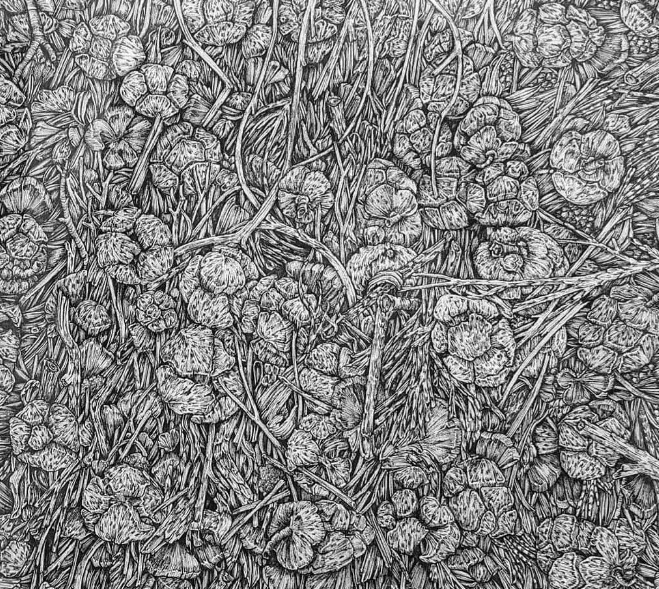 olivia@全球最“抠”美女画家,用一支2元针管笔惊艳世界