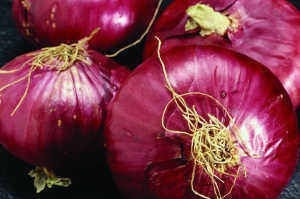 洋葱圈|洋葱虽好,但千万别这样吃,不仅对身体没好处,还能“致癌”