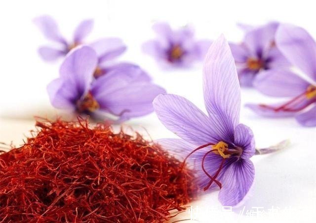 李小圆|女性怀孕后,这个月份是胎儿畸形的高危期,也容易流产,要很小心