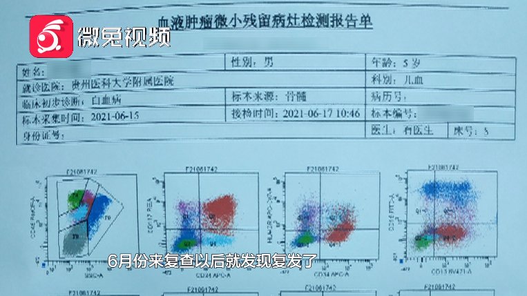 重症监护室|“爸爸，你们再生一个小孩吧”5岁男童白血病复发了