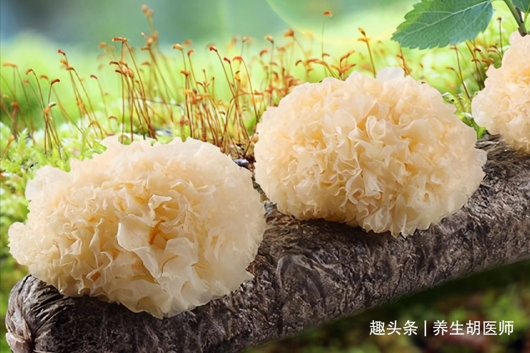 食物|长寿老人最爱吃三种食物，美容养生，滋润肌肤，早吃早好！