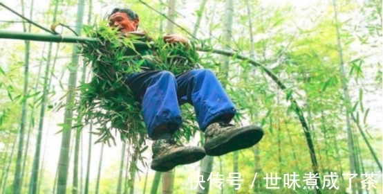 竹林|中国现实版武林高手,60岁能在竹林随意游走,当地人尊称竹海飞人