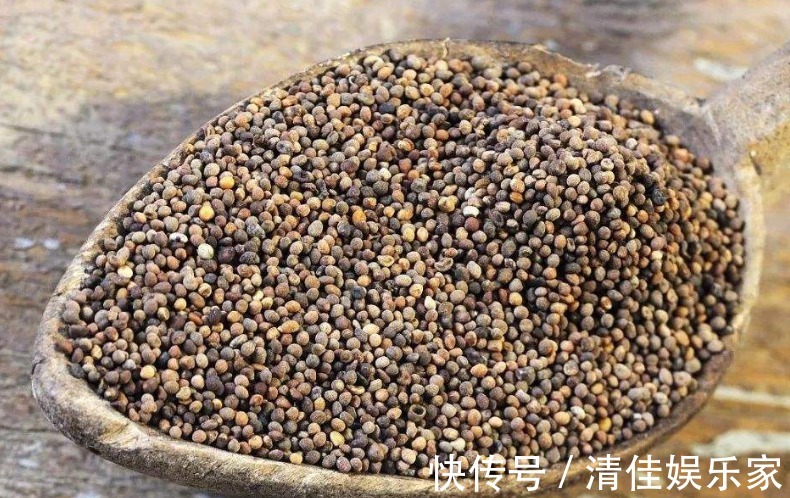 壮阳|被称为“回春宝”,菟丝子补肾功效高,送你几方壮阳又强身