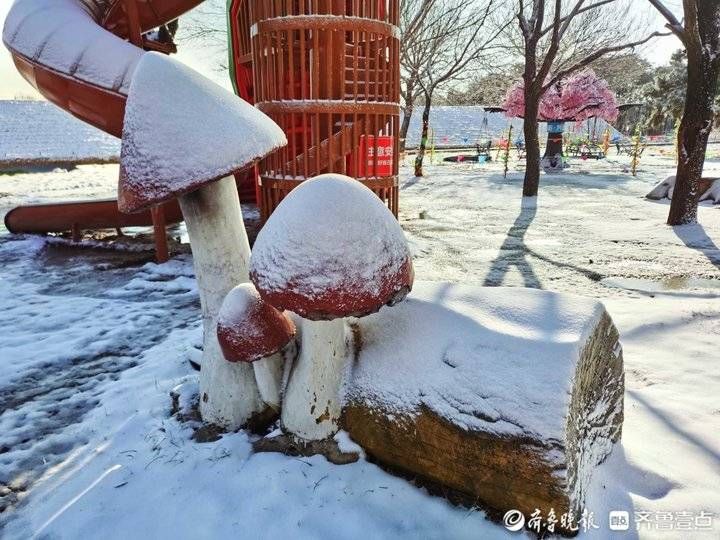 跑马岭|济南南山跑马岭迎来今冬第二场降雪！齐鲁雪乡美似童话