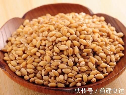 这么泡麦粒，一粒麦子一条鱼，还个个都是大板鲫