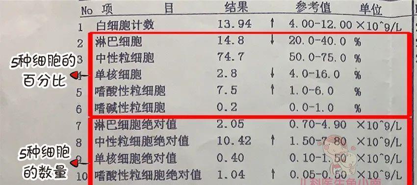 看血常规像看天书?知道这几个指标意味着什么,就够啦