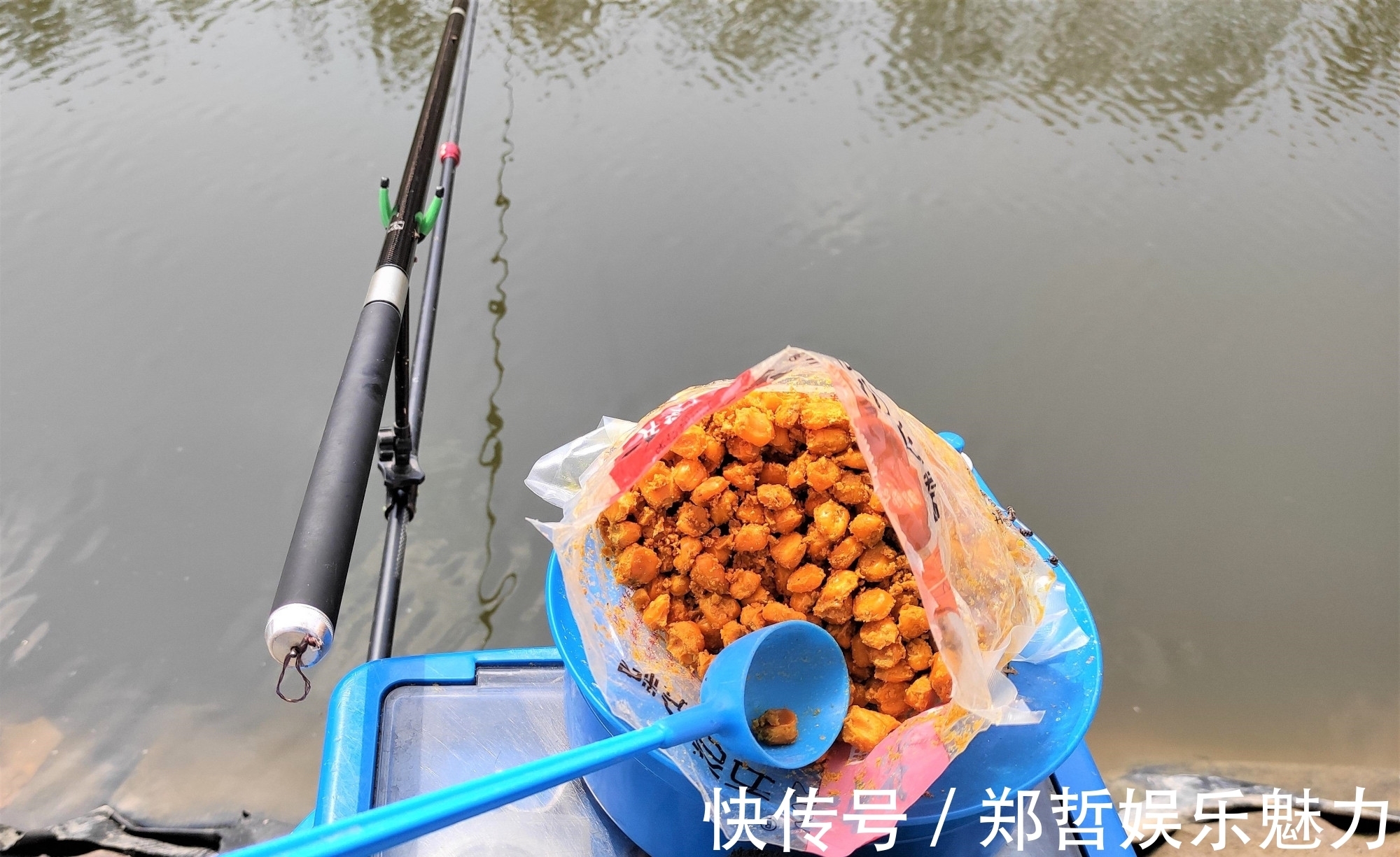 雾化|别人用玉米钓鱼收获满满，你用玉米钓鱼空军，原来这些细节没注意