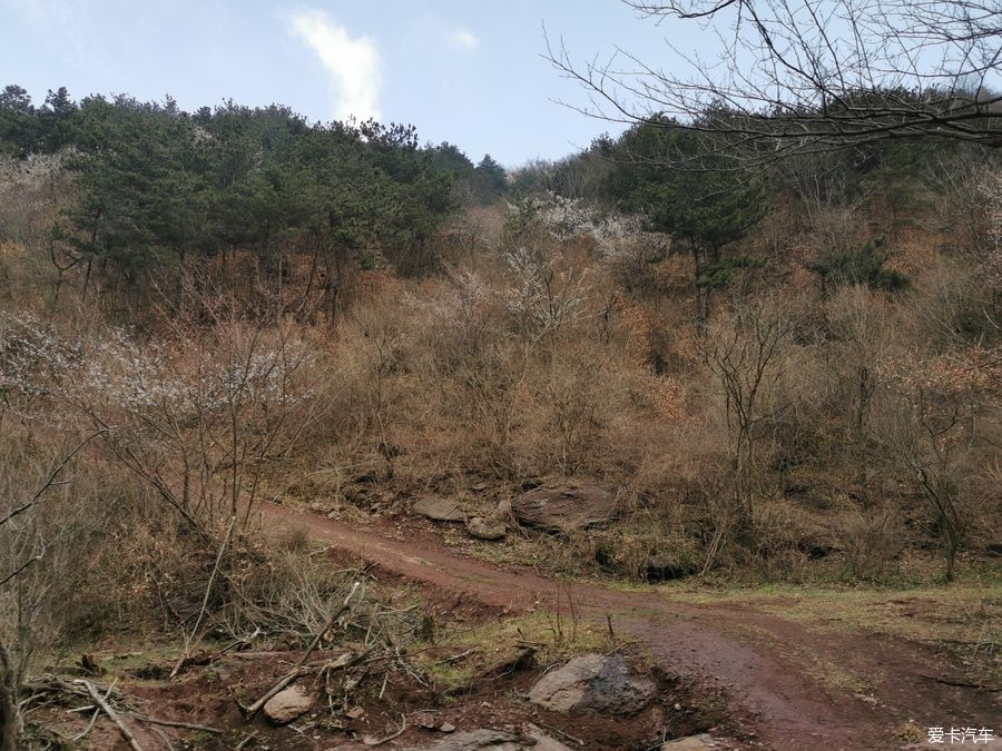 老年|【爱卡踏青季】迎春·大洪山踏雪赏花