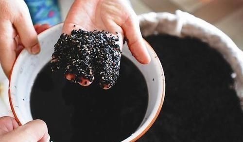 豆制品|雌激素减少易显老女性日常多吃点此类食物,雌激素或许悄悄增多