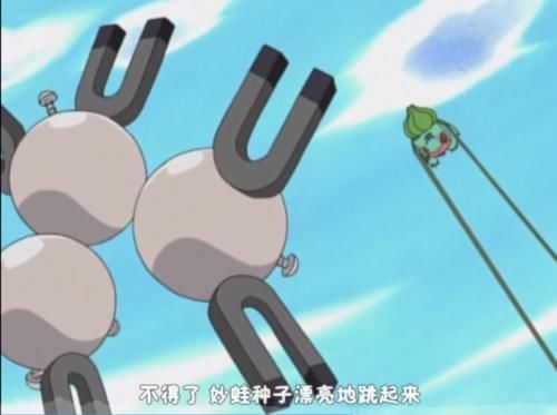 剧本|小智最机智的草系宝可梦,不进化的它仿佛已经看了10年后的剧本