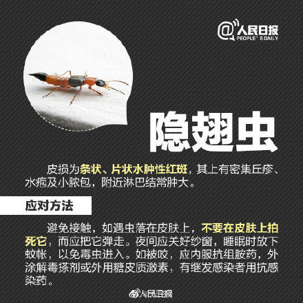 秋游|秋游当心昆虫过敏！严重过敏反应甚至危及生命