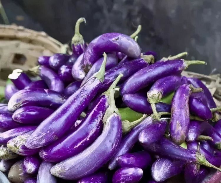 茄子|爱美女性不妨多吃3种食物,补充营养、延缓衰老,身体棒棒哒!