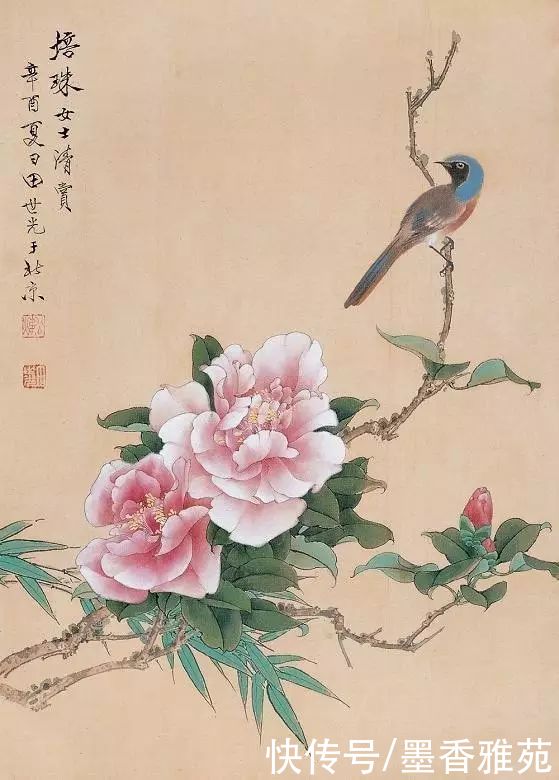 精品|太美了，艺术大师田世光精品花鸟画作品欣赏