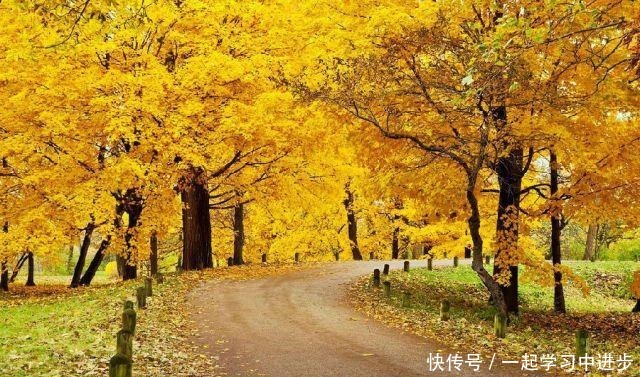 苏州人的宝岛秘境,美成仙境,却被时光遗忘!