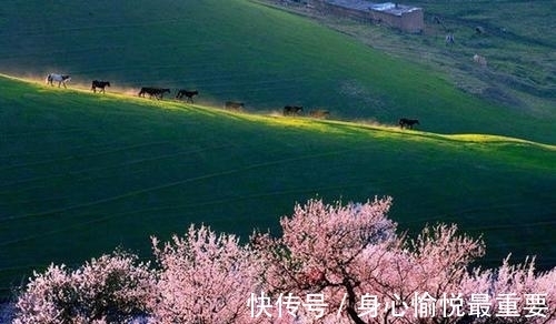 老爷@夫人出了一个上联,才子一时语塞,丫环却脱口而出,令人感悟深刻